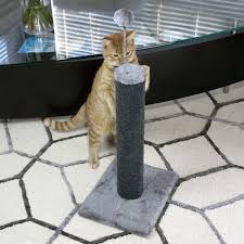 cat craft 20 carpet scratching post