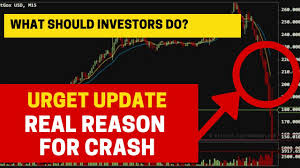 Crypto news in hindimarket crash reason : Crypto Update In Hindi Archives Get Crypto