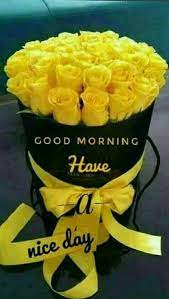 Yellow good morning flowers pictures for whatsapp. 38 Good Morning Flower Images For Free Download Hd Pics Morning Flowers Good Morning Flowers Good Morning Roses
