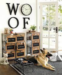 How To Create A Luxury Dog Room Expert