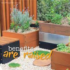 Raised Garden Bed Benefits About The