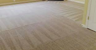 carpet cleaning portland or nicholas
