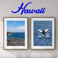 Metal Wall Art Hawaii Home Decor