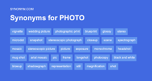 another word for photo synonyms