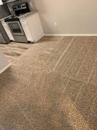 how often should you clean your carpet