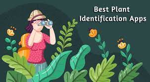 Best 10 plant identifier apps for android reviews 2021. 9 Best Free Plant Identification Apps For Android Ios 2021