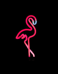 Sunnylife Pink Flamingo Neon Light Asos