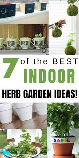 7 Of The Best Indoor Herb Garden Ideas