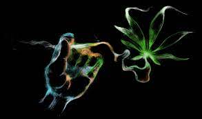 abstract weed wallpapers on wallpaperdog