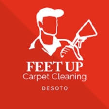 feet up carpet cleaning desoto 320 w