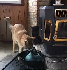 Installing a cat fountain might be a nice touch because it can keep the water cold at all times. Customer Reviews Thirstycat Fountains