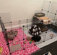 indoor rabbit cage setup for happy