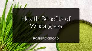 wheatgr benefits how to use