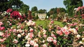 Rose Garden de Raleigh | Horario, Mapa y entradas 4