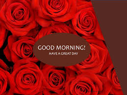 35 good morning red rose images desi