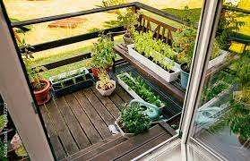 Plants Growing On Home Wood Balcony