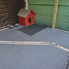 for dog kennel areas
