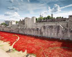 the tower of london for remembrance day