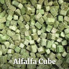 alfalfa cube rart feed supplies llc