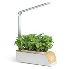 indoor herb garden kit with grow light