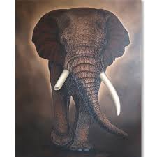 3d Elephant Wall Art Elephant