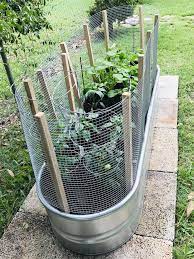 Galvanized Tub Garden Vegetable