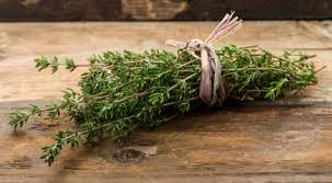 It's Time to Talk About Thyme