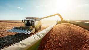 Accc All Clear On Graincorps 350m Deal The Market Herald