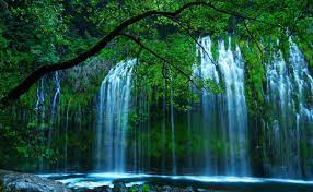 Animated Waterfall Wallpapers posted by ...