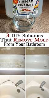 cleaning bathroom mold