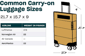 a carry on luge size guide by airline