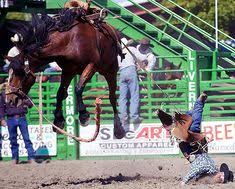 624 Best Rodeo Pictures Images In 2019 Rodeo Bull Riding
