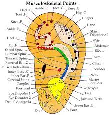Auricular Acupuncture Ear Acupuncture Natural Medicine Works