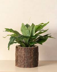 Decor Remedy Wooden Single Plant Pots