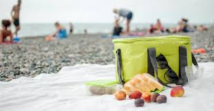eco friendly cooler bags the coolest