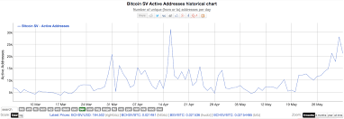 Bitcoin Sv Highest Gainer In May Started From The Bottom