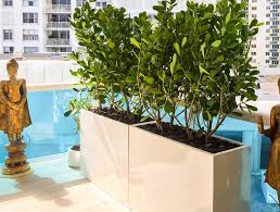 extra large planters for trees