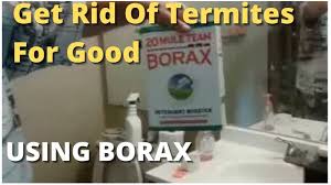 termites for good using borax