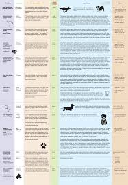 Canine Dental Treat Comparison Chart