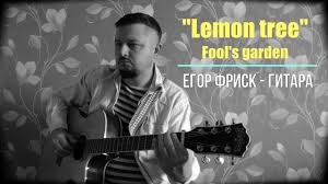 lemon tree for guitar guitar sheet