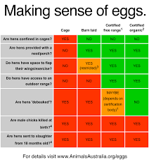 Veggieful Com Au Vegan Recipes And Life Egg Substitutes