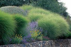 Designing With Grasses Finegardening