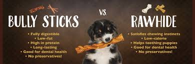 Bully sticks don't cause swelling in the gut. Pawsumer Reports Bully Sticks Vs Rawhide Third Party Pet