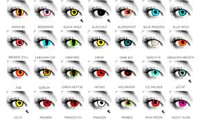Blog Eyeballs Optometry