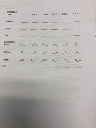 Solved Practicing Dna Transcription And Translation For T