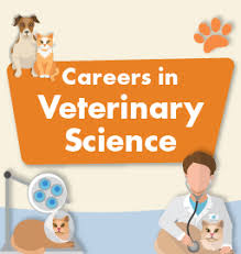 how to become a veterinary doctor in india