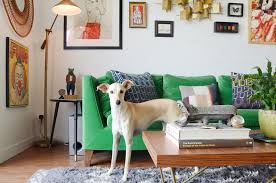 best sofa fabrics for pet owners