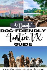 dog friendly guide to austin tx the