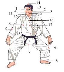 Pressure Points Martial Arts Diagram 58077 Newsmov