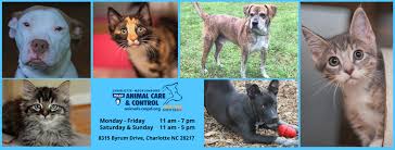 Let our front desk know when you arrive at camp and one of our counselors will be. Cmpd Animal Care And Control Home Facebook
